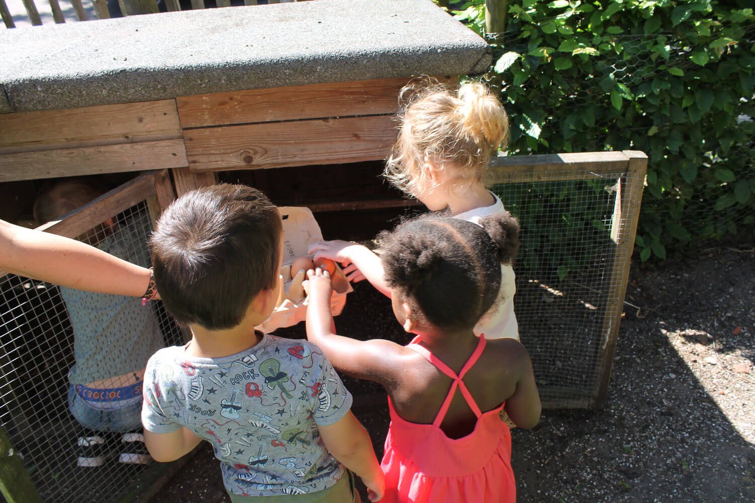 Bzzzonder-kinderopvang-Wijkboerderij-Nieuwland